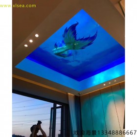 水族館魚(yú)缸定做 大型有機(jī)玻璃水族箱 亞克力透明泳池