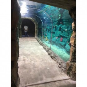 戲浪海洋館大型魚缸設計與施工 海洋餐廳設計 水族館改建 海洋館亞克力隧道設計安裝