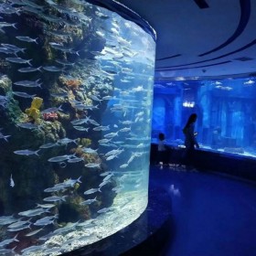 戲浪大型觀賞魚缸定做 免費海洋館設計 水族館工程承建 透明懸空泳池設計安裝