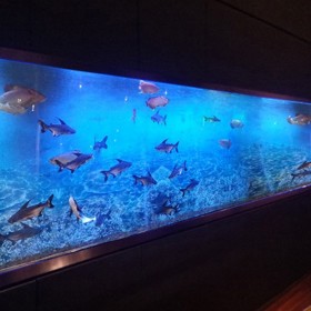 四川戲浪大型亞克力魚缸 海洋館設(shè)計與工程施工 水族館建造公司 大圓柱異形魚缸定做廠