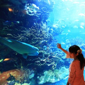 別墅魚缸定制 酒店觀賞風(fēng)水水族箱 有機(jī)玻璃海景魚缸