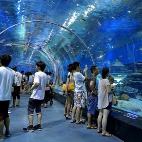 海洋館設(shè)計 海洋隧道施工 水族館改建 網(wǎng)紅懸空透明泳池設(shè)計安裝