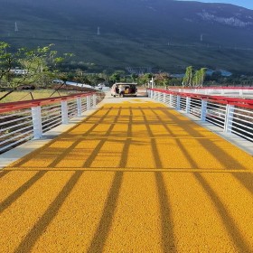 重慶 彩色生態(tài)透水地坪 無(wú)砂透水混凝土 車(chē)行道透水路面 詢價(jià)