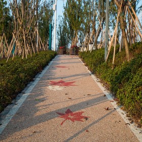 喀什市 混凝土透水路 露石子透水街道 生態(tài)透水地坪 電話咨詢