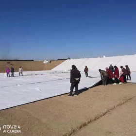 出口級天然鈉基膨潤土防水毯  景觀園林防水毯 景觀湖防水毯  垃圾填埋場防水毯