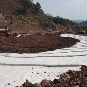 出口級天然鈉基膨潤土防水毯  景觀湖專用防水毯  沼氣池防滲專用防水毯