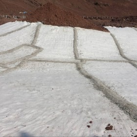 四川防水毯  生產(chǎn)廠家天然鈉基膨潤土防水毯    人工湖天然鈉基膨潤土防水毯