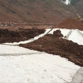 四川景觀湖專用天然鈉基膨潤土防水毯   垃圾填埋場專用防滲天然鈉基膨潤土防水毯