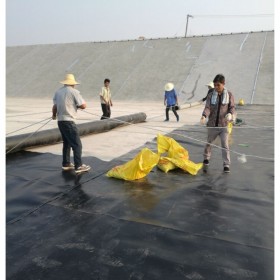 重慶土工膜  廠家直銷 氧化塘沼氣池 免費寄樣