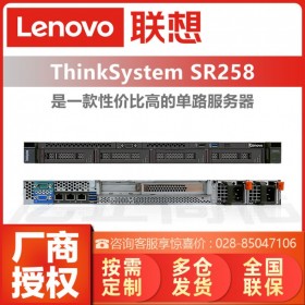 聯(lián)想Lenovo ThinkSystem SR258/SR250 機架式服務(wù)器存儲備份/ERP軟件主機