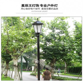 庭院燈 景觀燈 公園庭院燈 價格優(yōu)惠 歡迎來電咨詢