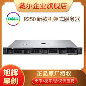 PowerEdge R250 資源服務(wù)器_1U機(jī)架式電信機(jī)房托管服務(wù)器_成都DELL服務(wù)器總代理商