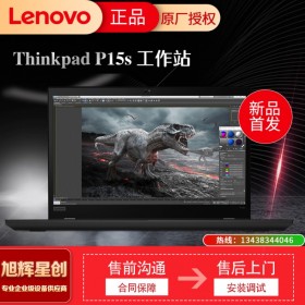 聯想ThinkPad P15S 2021款輕薄移動圖形工作站 15.6英寸高性能設計師游戲筆記本電腦 0BCD@i7-1165G7 16G 512G固態(tài) 【配置升級】32GB內存 512G固態(tài)硬盤