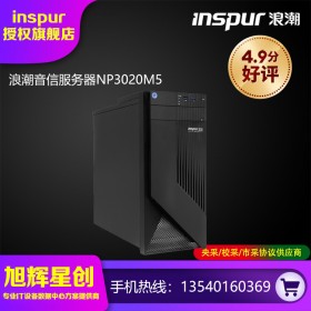 浪潮（INSPUR）NP3020M5小型塔式服務(wù)器主機 至強2224/16GB/2TB SATA企業(yè)級/300W冷電/DVD刻錄/三年質(zhì)保