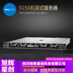 成都戴爾（DELL）1U機架式服務器主機 R250文件ERP存儲數(shù)據(jù)庫財務