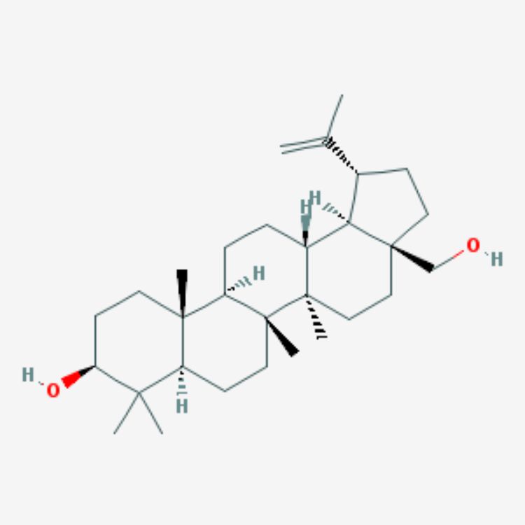 白樺脂醇