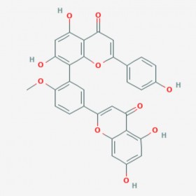 白果雙黃酮 白果素 Bilobetin 521-32-4 對照品|標(biāo)準(zhǔn)品