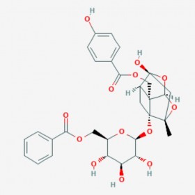 苯甲酰氧化芍藥苷 Benzoyloxypaeoniflorin 72896-40-3 對(duì)照品|標(biāo)準(zhǔn)品