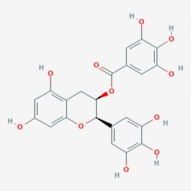 表沒(méi)食子兒茶素沒(méi)食子酸酯 (?)-Epigallocatechin gallate 標(biāo)準(zhǔn)品|對(duì)照品