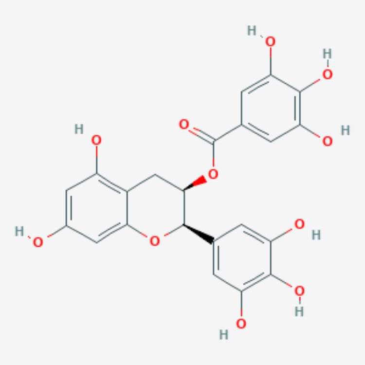 表沒(méi)食子兒茶素沒(méi)食子酸酯