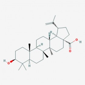 表白樺脂酸 3-表樺木酸 3-Epibetulinic acid  標(biāo)準(zhǔn)品|對(duì)照品