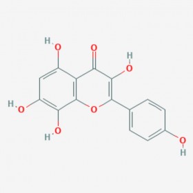 草質(zhì)素 草棉黃素 527-95-7 Herbacetin 標(biāo)準(zhǔn)品|對(duì)照品