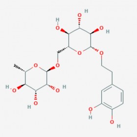 連翹酯苷E 去咖啡酰基連翹酯苷A Forsythoside E 93675-88-8