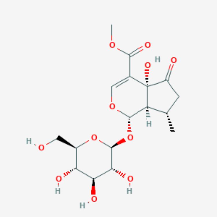 5-羥基馬鞭草苷