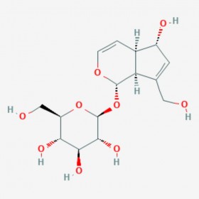 桃葉珊瑚苷 杜仲苷 Aucubin Aucubine 479-98-1