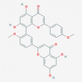 異銀杏雙黃酮 異銀杏素 Isoginkgetin 548-19-6