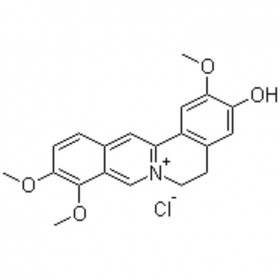 鹽酸藥根堿 Jatrorrhizine Hydrochloride 960383-96-4