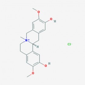 鹽酸黃柏堿 黃柏堿鹽酸鹽 Phellodendrine chloride 104112-82-5