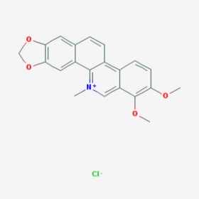 鹽酸白屈菜紅堿 Chelerythrine? chloride 白菜屈紅堿氯化物 3895-92-9