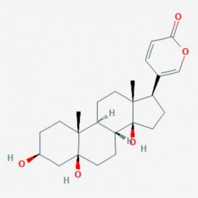 遠(yuǎn)華蟾蜍精 Isolinderalactone 472-26-4