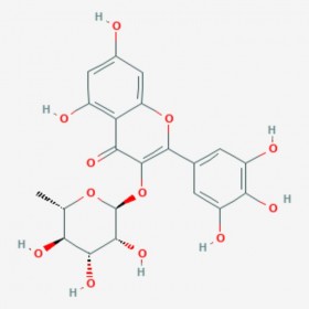 楊梅苷 楊梅甙 Myricetrin 17912-87-7