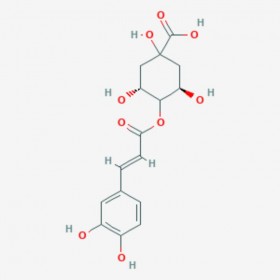 隱綠原酸 4-咖啡?？鼘幩?Cryptochlorogenic acid 905-99-7