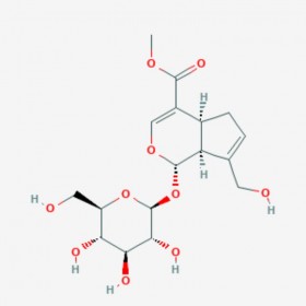 梔子苷 京尼平苷 Geniposide 24512-63-8