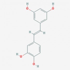 白皮杉醇 比杉特醇 Piceatannol