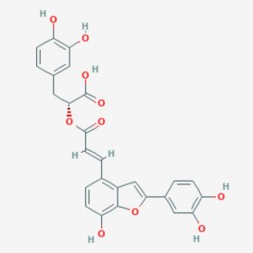 丹酚酸C 丹參酚酸C Salvianolic acid C