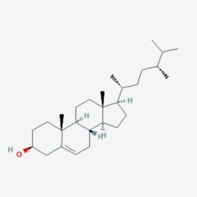 菜油甾醇  蕓苔甾醇 Ca mpasterol