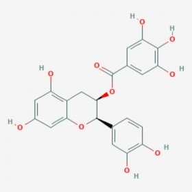 表兒茶素沒食子酸酯 (-)-Epicatechin gallate 1257-08-5 C22H18O10