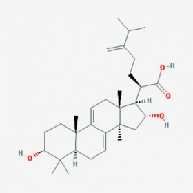 3-表去氫土莫酸 3-epidehydrotumulosic acid 167775-54-4 C31H48O4