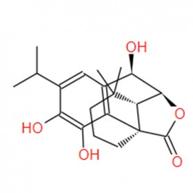 表-迷迭香酚 epirosmanol  93380-12-2 C20H26O5