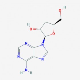 蟲草素 Cordycepin 73-03-0 C10H13N5O3