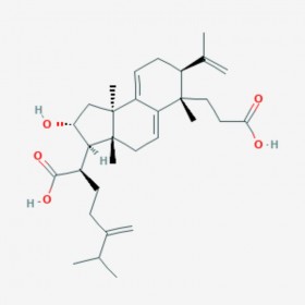 茯苓酸A Poricoic acid A 137551-38-3  C31H46O5