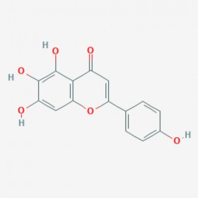 高黃芩素 Scutellarein 529-53-3 C15H10O6