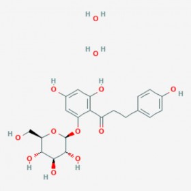 根皮苷 Phlorizin 60-81-1 C21H24O10