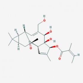 巨大戟醇-3-O-當(dāng)歸酸酯 Ingenol-3-angelate  75567-37-2 C25H34O6