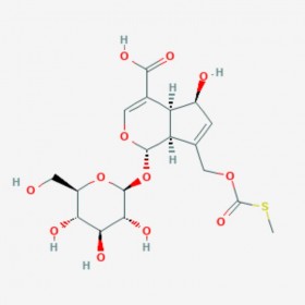 雞屎藤苷酸 Paederosidic acid 18842-98-3 C18H24O12S