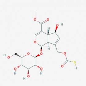 雞屎藤苷酸甲酯 Paederosidic acid methyl ester 122413-01-8 C19H26O12S